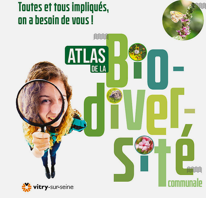 csm banniere Atlas-800x800 66b08b5254
